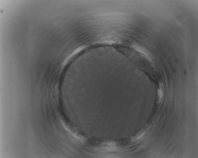 X0000062830492200601271955