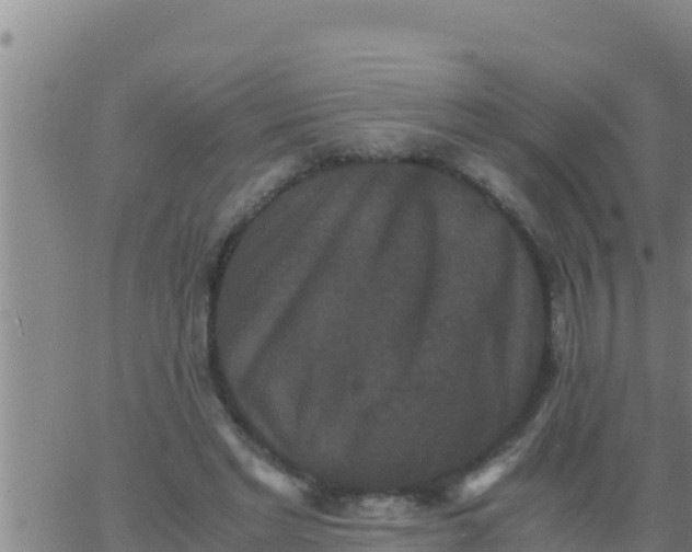 X0000062830493200601271955