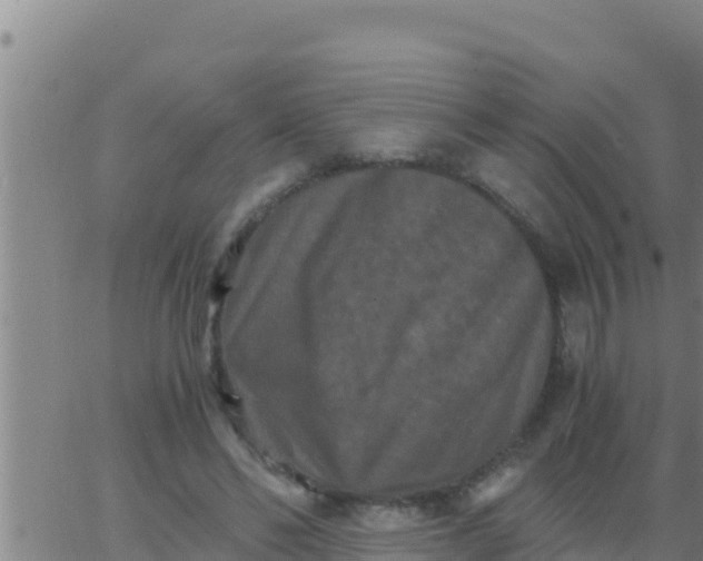 X0000062830494200601271955