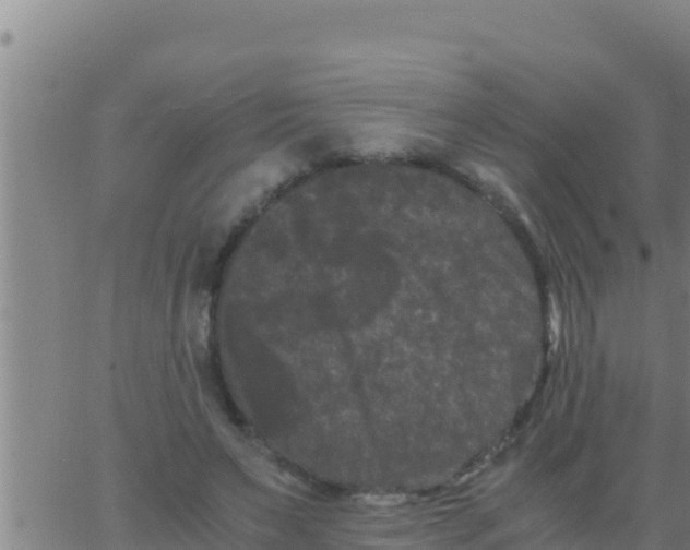 X0000062830495200601271955