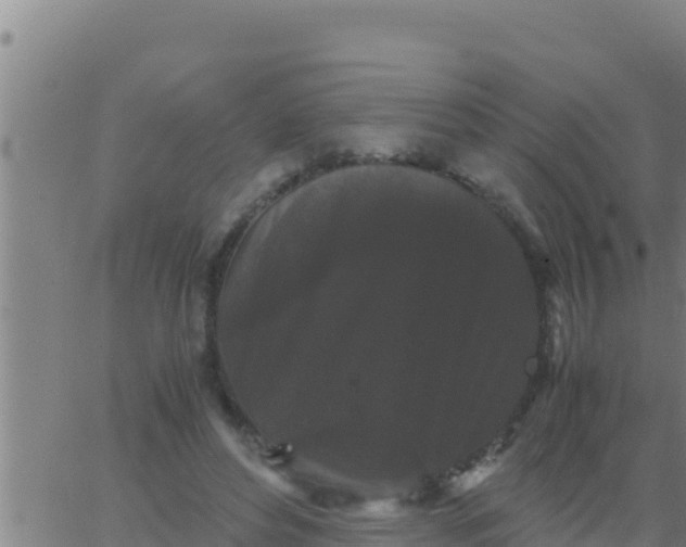 X0000062830496200601271955