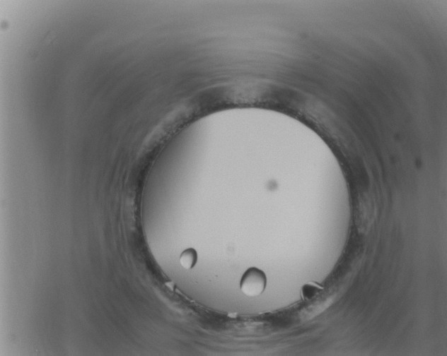 X0000062830497200601271955