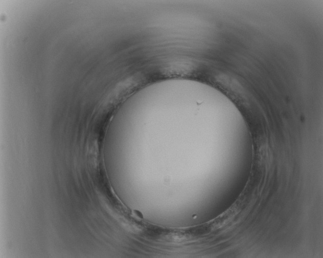 X0000062830498200601271955