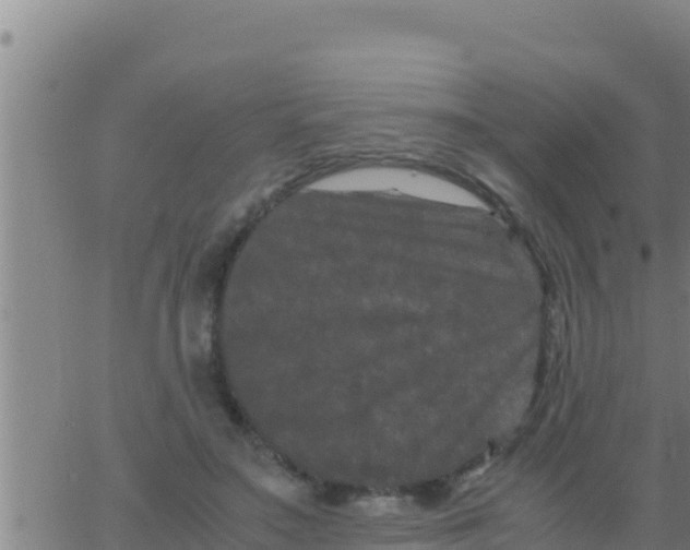 X0000062830499200601271954