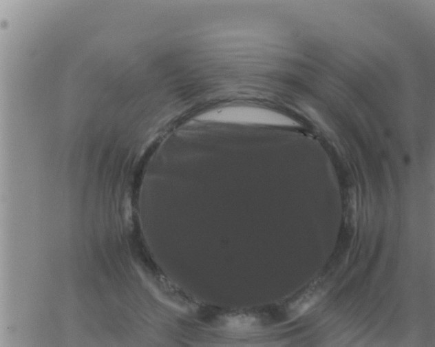 X0000062830500200601271954