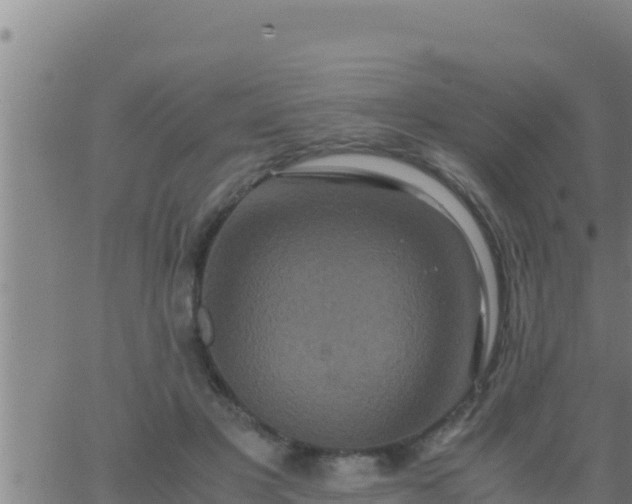 X0000062830501200601271954