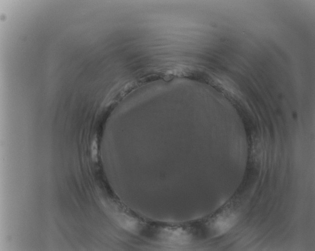 X0000062830502200601271954