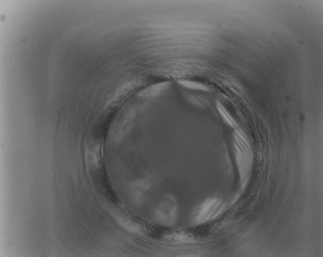 X0000062830503200601271954