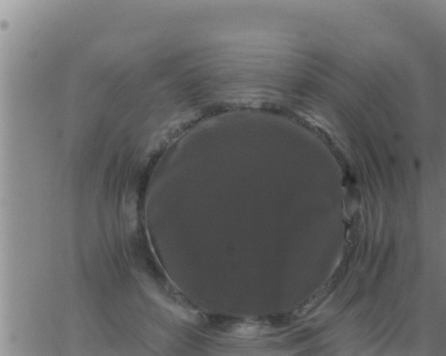 X0000062830504200601271954