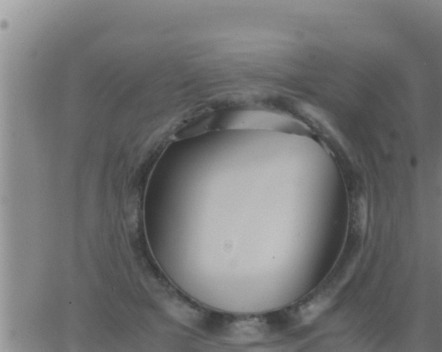 X0000062830505200601271954