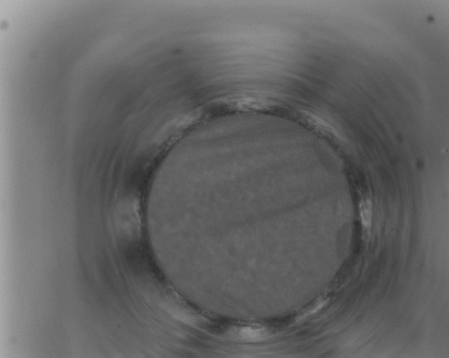 X0000062830506200601271954