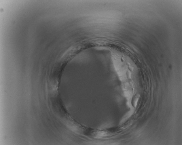 X0000062830507200601271954