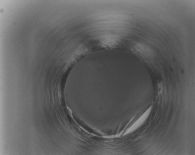 X0000062830508200601271954