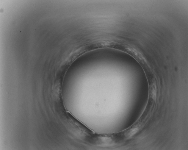 X0000062830509200601271954