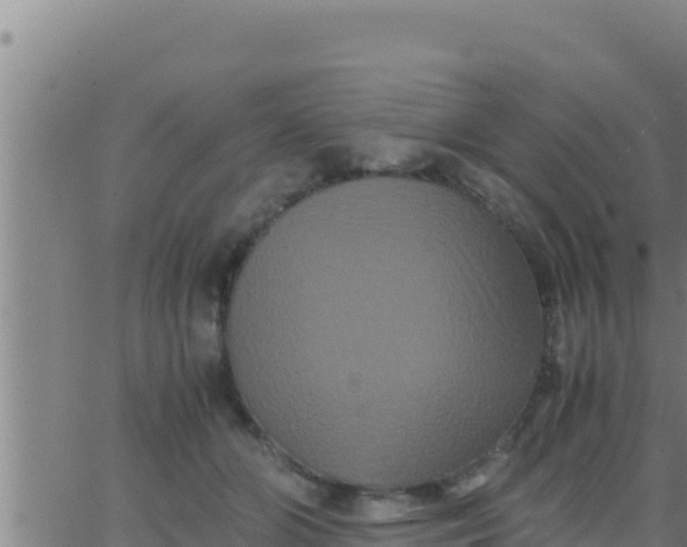 X0000062830510200601271954