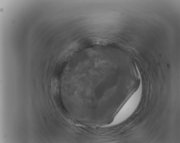 X0000062830511200601271954