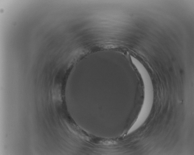 X0000062830512200601271954