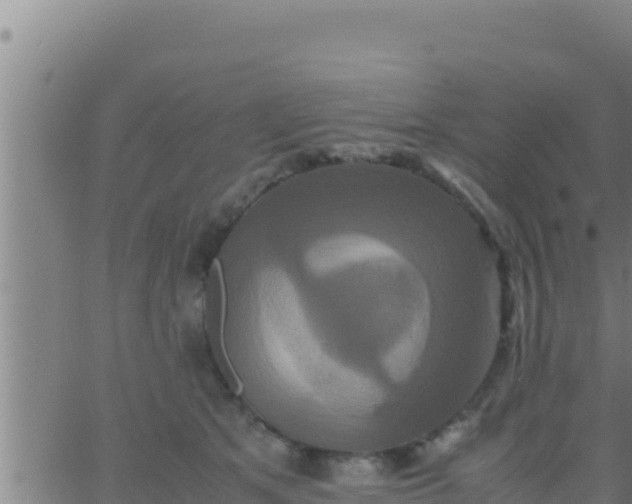 X0000062830513200601271954