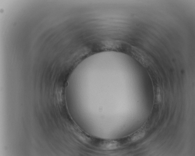 X0000062830514200601271954