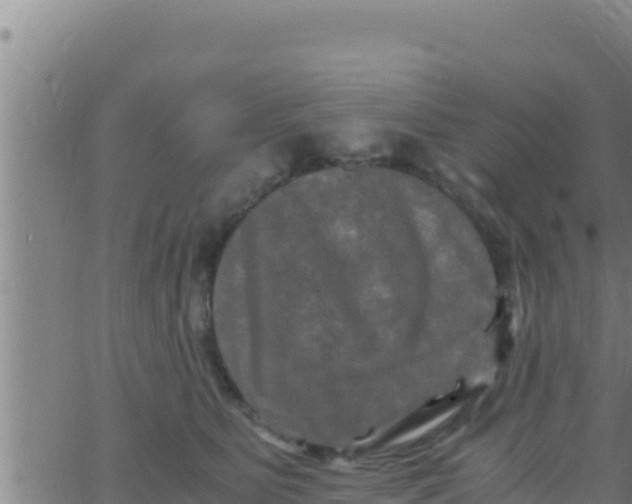 X0000062830515200601271954