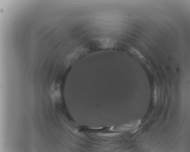 X0000062830516200601271954