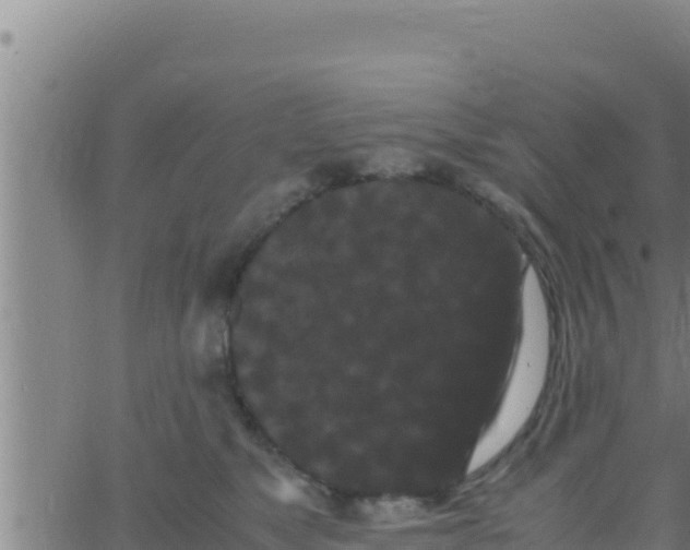 X0000062830517200601271954