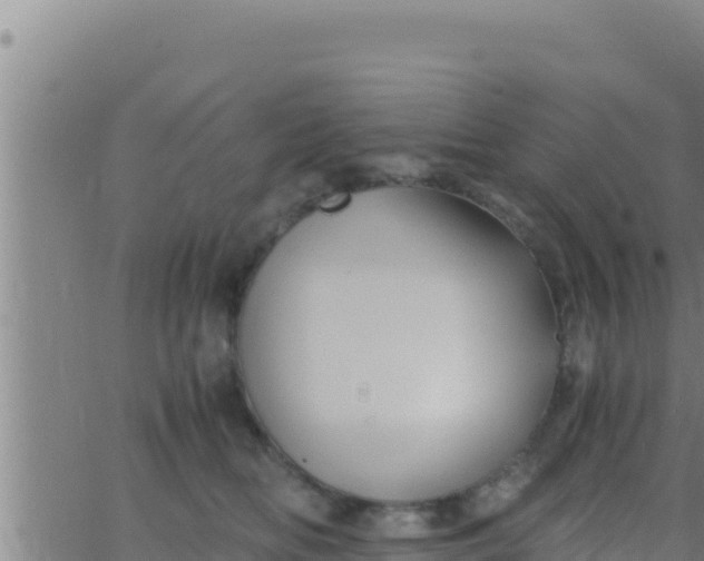 X0000062830518200601271954