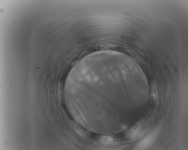 X0000062830519200601271954