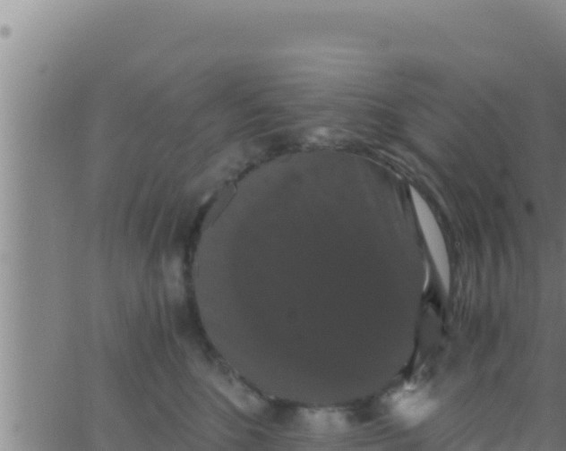 X0000062830520200601271954