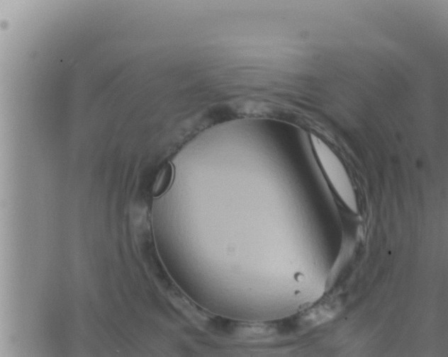 X0000062830521200601271954