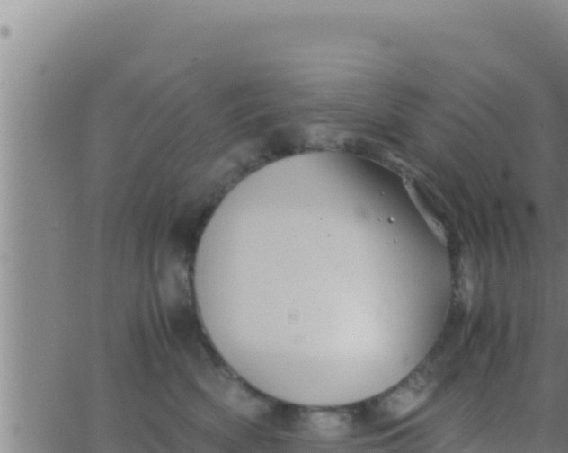 X0000062830522200601271954