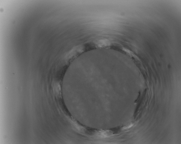 X0000062830523200601271954