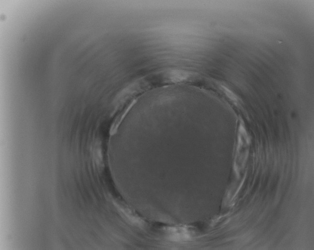 X0000062830524200601271954