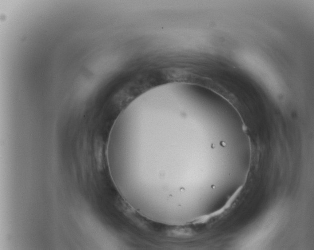 X0000062830525200601271954