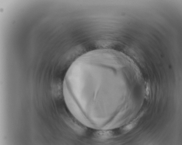 X0000062830526200601271954