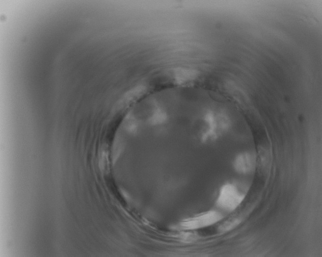 X0000062830527200601271954