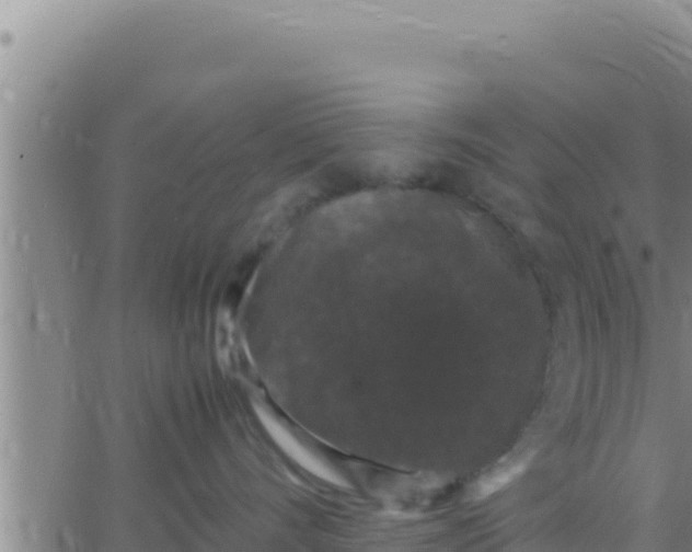 X0000062830528200601271954