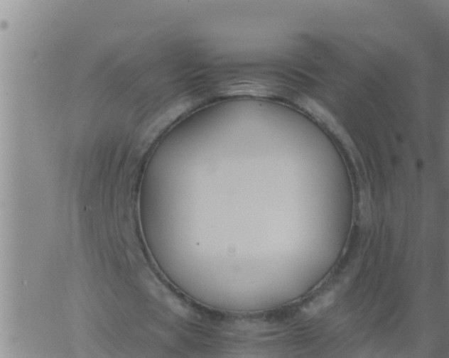 X0000062830529200601271953