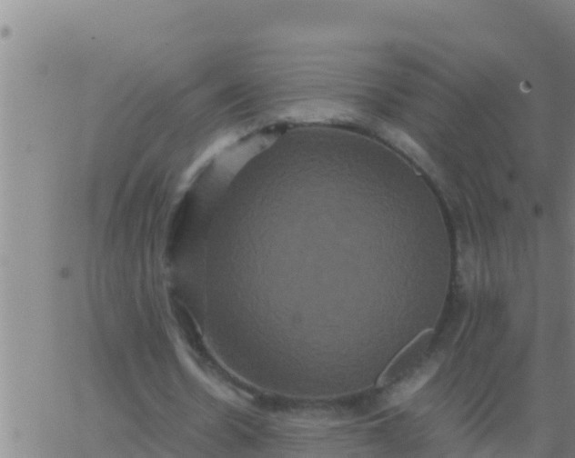 X0000062830530200601271953