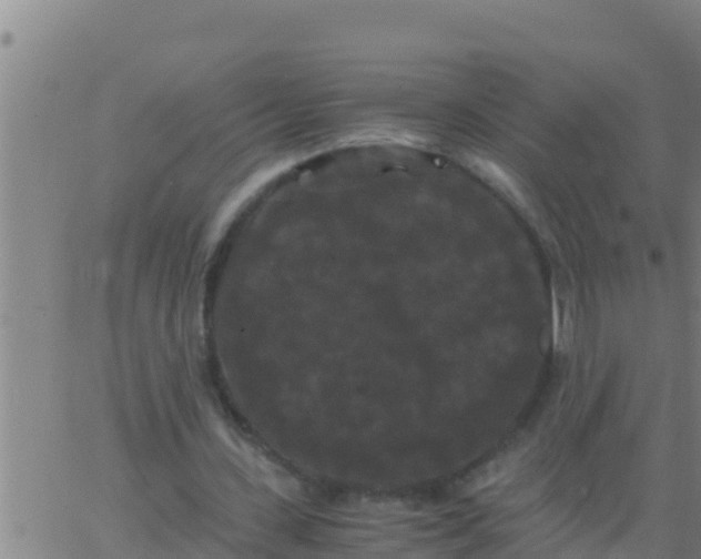 X0000062830531200601271953