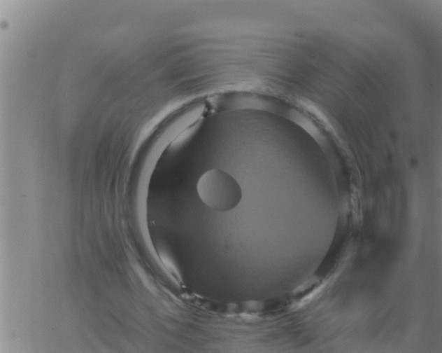 X0000062830532200601271953