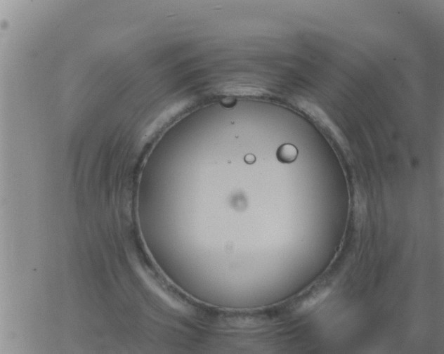 X0000062830533200601271953