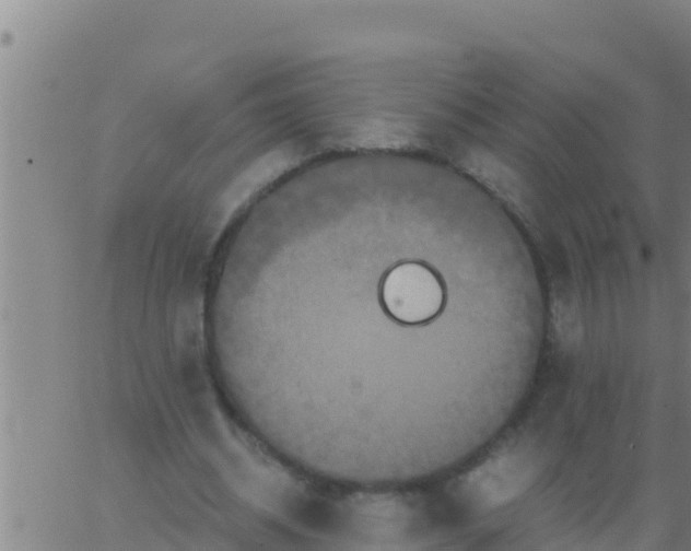 X0000062830534200601271953