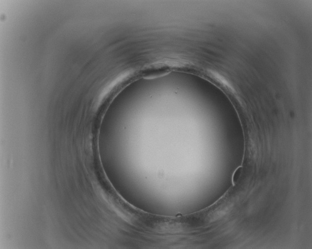 X0000062830535200601271953