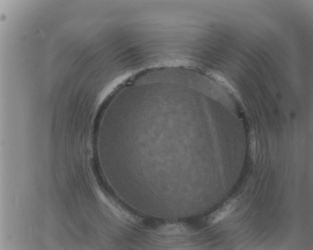 X0000062830536200601271953