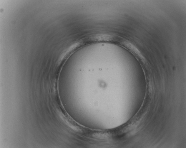 X0000062830537200601271953