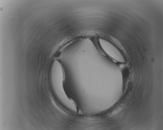 X0000062830538200601271953