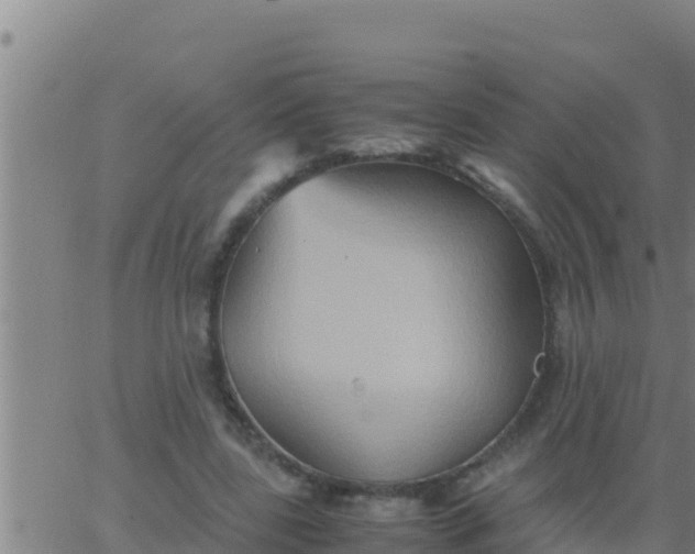 X0000062830539200601271953