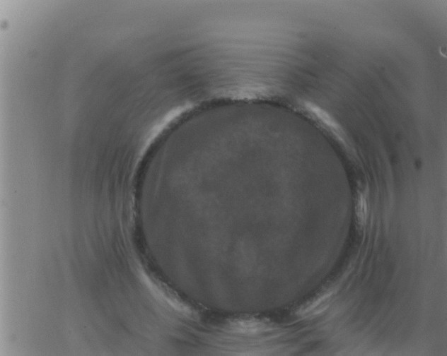 X0000062830540200601271953