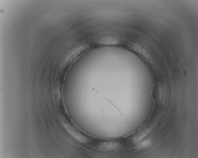 X0000062830541200601271953